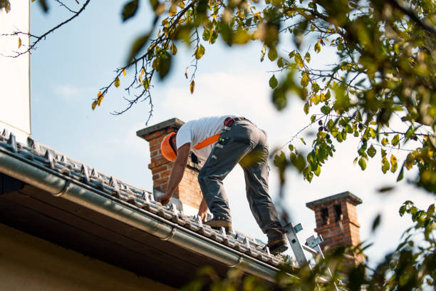 Quick and Trustworthy Emergency Roof Repair Services in St Charles, IL
