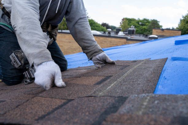 Best Metal Roofing Contractor  in St Charles, IL